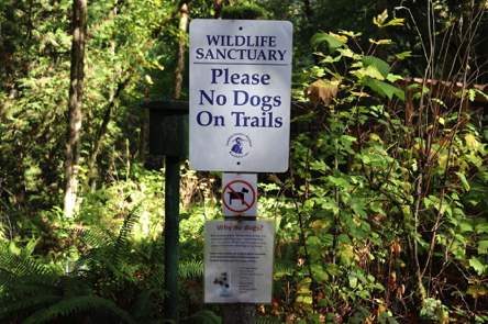 Wildlife Sanctuary – Please No Dogs on Trails Wildlife Sanctuary – Please No Dogs on Trails